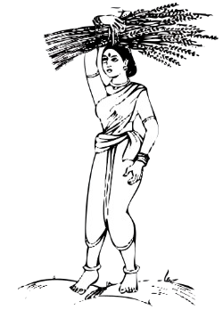 Janata Dal (Secular) logo